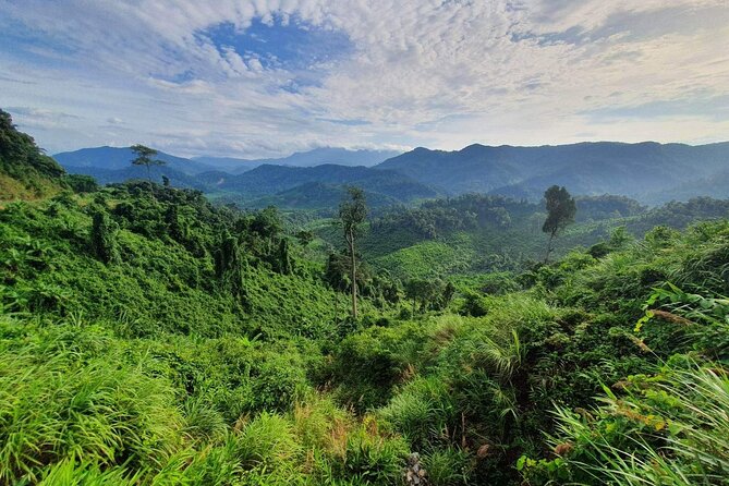 Hai Van pass private car tour from Hue-Da Nang-Hoi An (1Way|Loop) - Price and value: $199 per group (up to 3) makes sense if you split it