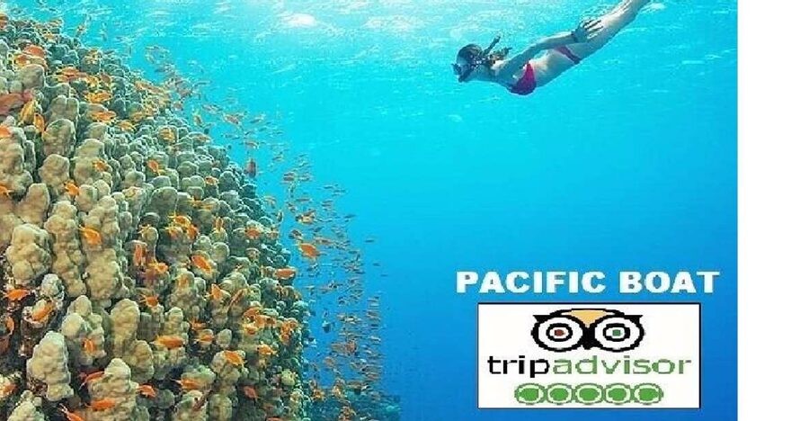 Hoi An/Da Nang: Snorkelling & Island-Hopping Speedboat Tour - From Da Nang and Hoi An to Cua Dai: fast start, fewer headaches