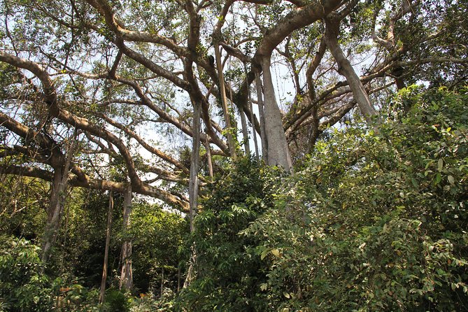 Jeep Tour Monkey Mountain & Son Tra Peninsula 3Hr - Linh Ung Lady Buddha: the calm stop after the twisty roads