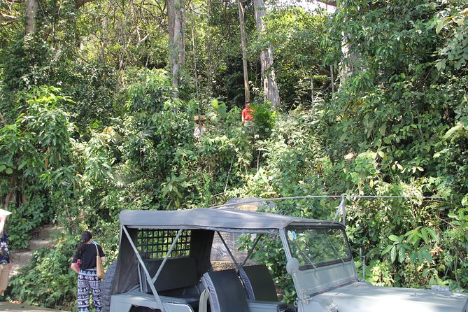 Jeep Tour Monkey Mountain & Son Tra Peninsula 3Hr - The value question: is a private jeep tour worth $59?