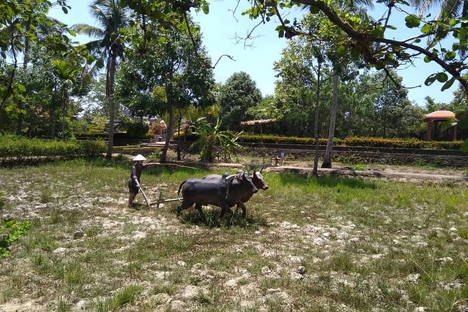 MY LAI MASSACRE Tour from Hotel in Da Nang City or Hoi An City ( Private Tour ) - Stop 1: My Lai Massacre Museum (30 minutes, and the setup matters)