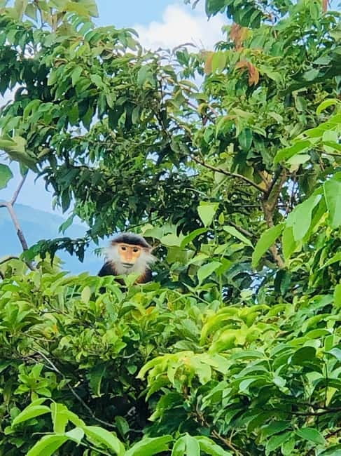 Private Jeep Tour to Marble - Monkey Mountains -Son Tra peak - Should you book the Da Nang Jeep trip to Marble Mountains and Monkey Mountain?