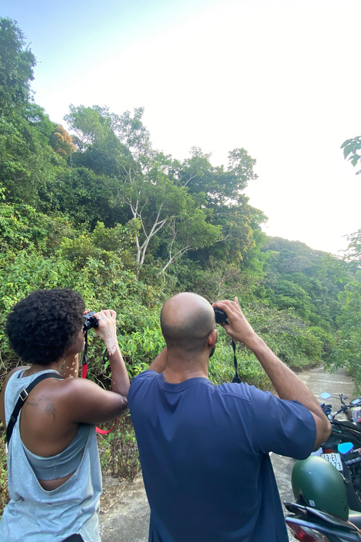 Safari - Finding the most endangered monkey in the World - Beyond monkeys: extra animals, local photographers, and hidden scenery