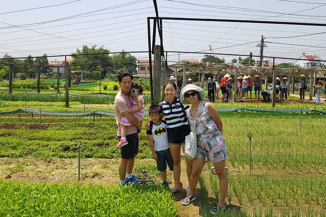 Vietnam Central Private Package Tour - Private transport in Central Vietnam: the real value of this package