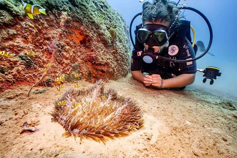 Visit Cham Islands & Snorkelling & Scuba Diving - Key highlights to look forward to