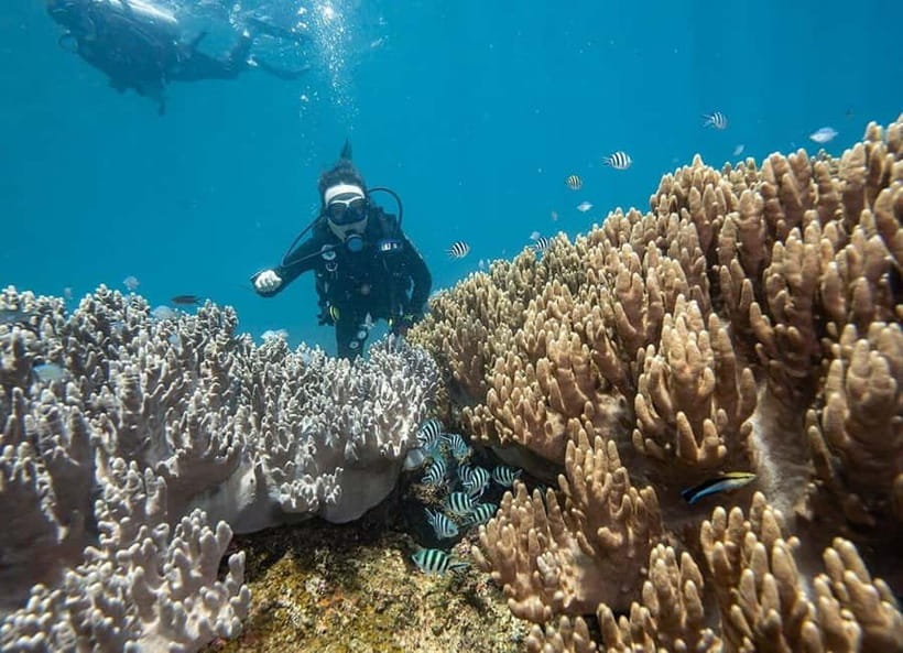 Visit Cham Islands & Snorkelling & Scuba Diving - Price and what $32 gets you in real terms